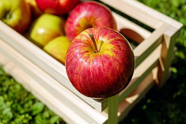 Jak využít spadaná jablka?